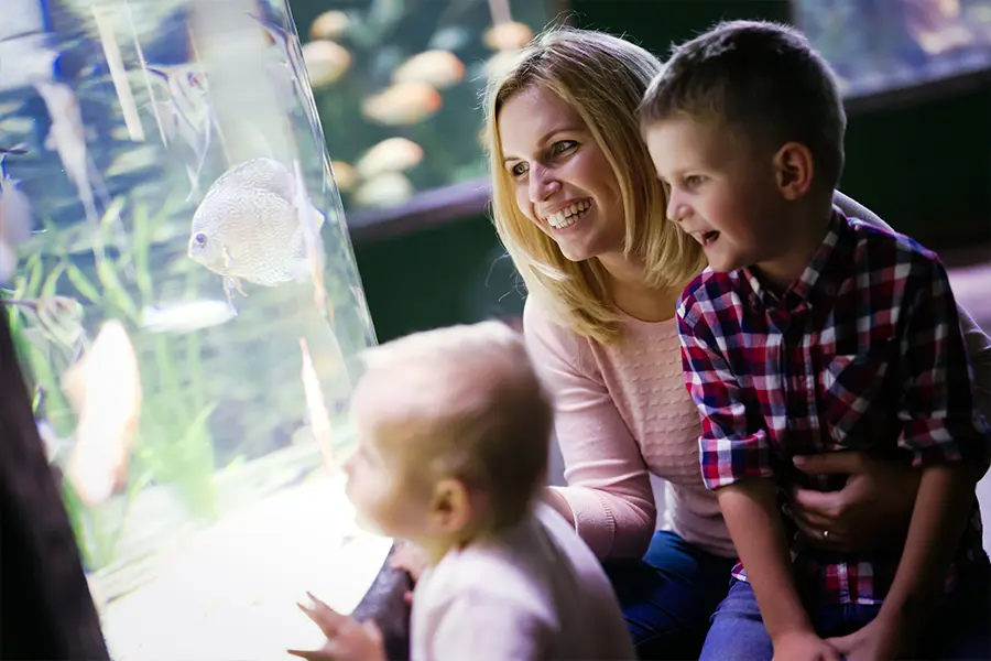 A mother and her young children enjoying the fish in an aquarium exhibit.